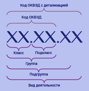 Структура кодов ОКВЭД