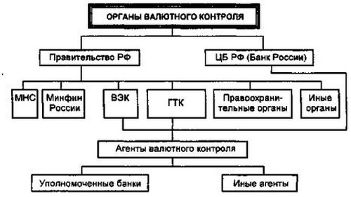 Структура валютного контроля РФ