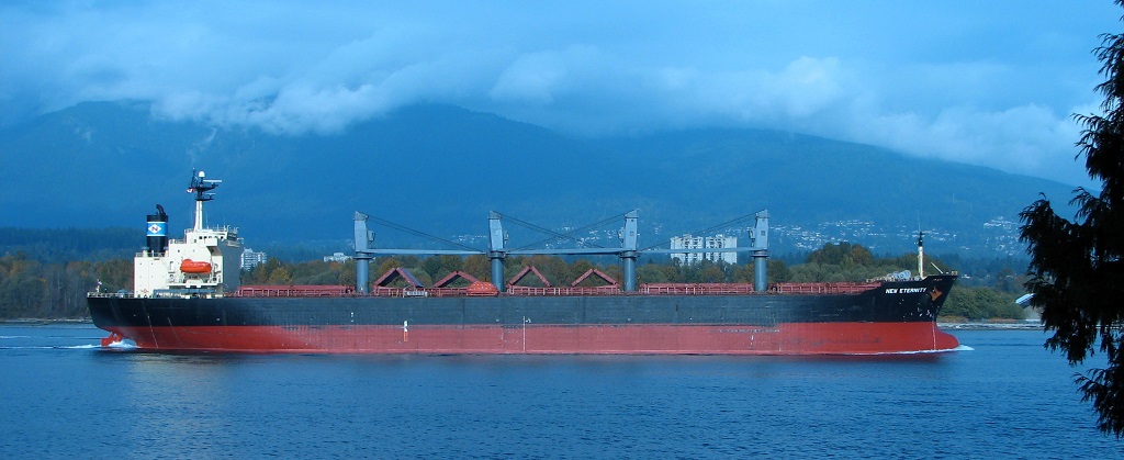 Bulk carrier (балкер): что это, определение термина | Энциклопедия Main ...